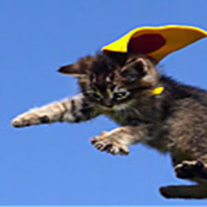 Meet your Posher, Matt